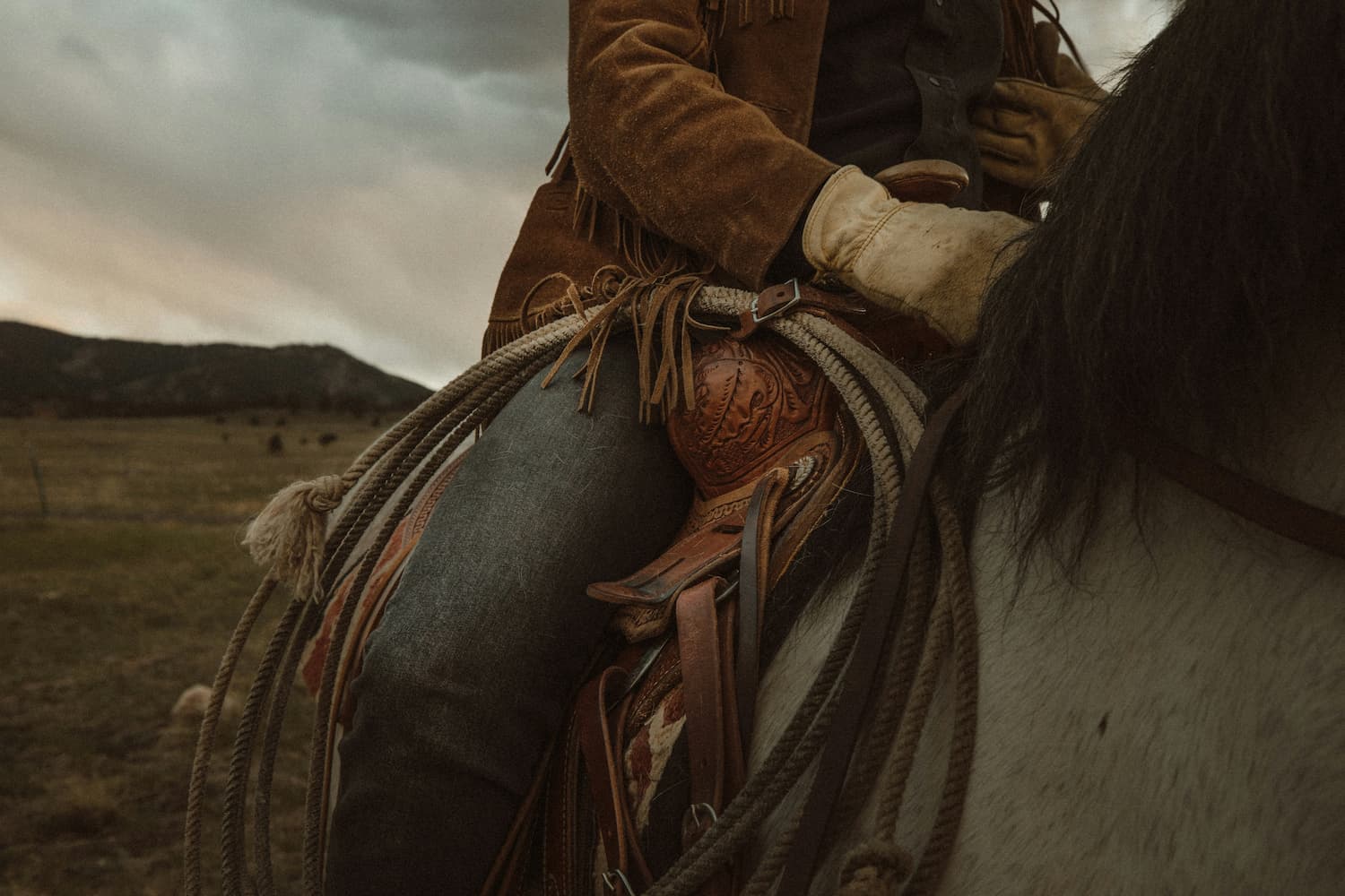 saddle-marketing-tulsa web design company in Tulsa
